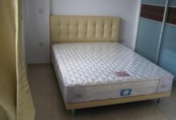 Dunearn Suites (D11), Apartment #100774712